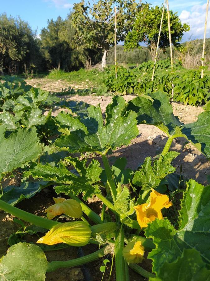 Myparadise-Farm Villa In The Centre Of South Crete Kalamáki Kültér fotó