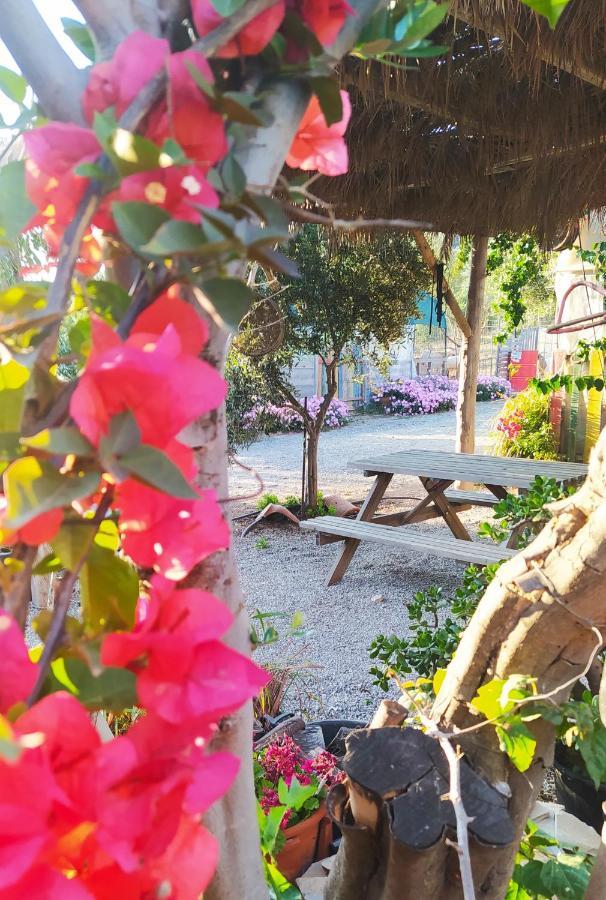 Myparadise-Farm Villa In The Centre Of South Crete Kalamáki Kültér fotó